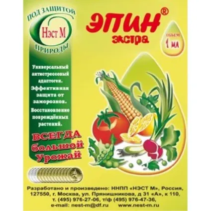 Епін інструкція із застосування при вирощуванні різних культур на дачній ділянці (вирощуванні) Епін інструкція із застосування при вирощуванні різних культур на дачній ділянці