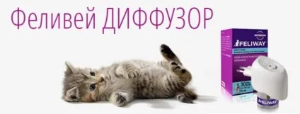 Фелівей для кішок