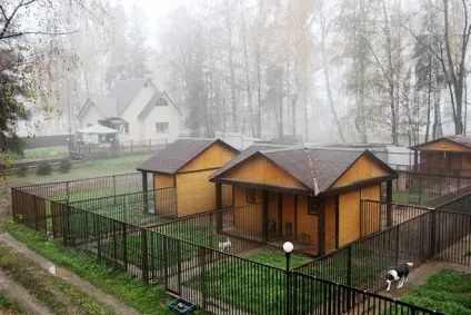 Етапи відкриття готелю для тварин