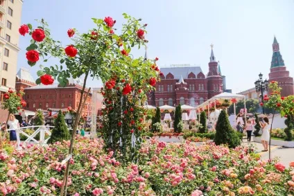 Фестиваль - московське літо квітковий джем 2017 - буде радувати москвичів до 6 серпня