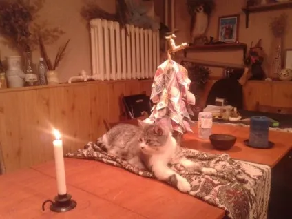 Езотеричний клуб підвальчик, гільдія магів (підвальчик) Езотеричний клуб підвальчик, гільдія магів