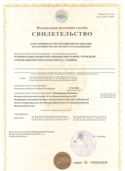 Є чи ні кпп у ип (індивідуальних підприємців) як дізнатися і де взяти (чи є у ип кпп) Є чи ні кпп у ип (індивідуальних підприємців) як дізнатися і де взяти