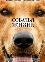 Фільми про бойові мистецтва, бої і бійки дивитися онлайн безкоштовно