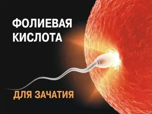 Фолієва кислота навіщо потрібна чоловікам і жінкам для зачаття, інструкція із застосування (фолієва кислота чоловік зачаття потрібний інструкція застосування жінка) Фолієва кислота навіщо потрібна чоловікам і жінкам для зачаття, інструкція із застосування