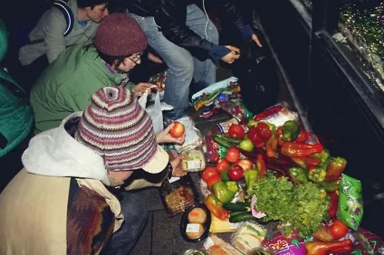 Фрігани і Фриганізм, як спосіб життя (Фриганізм) Фрігани і Фриганізм, як спосіб життя