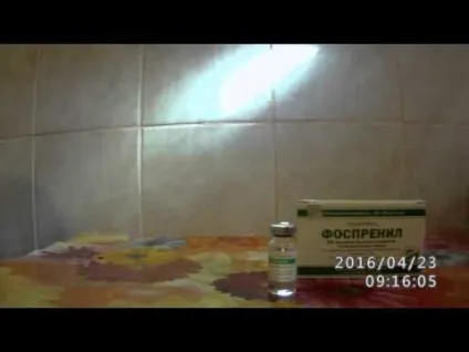 Фоспренил для кішок інструкція із застосування, дозування (застосування) Фоспренил для кішок інструкція із застосування, дозування
