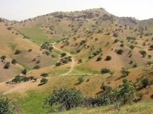 Де ростуть фісташки, фото (фісташки фото картинки країна Україна) Де ростуть фісташки, фото