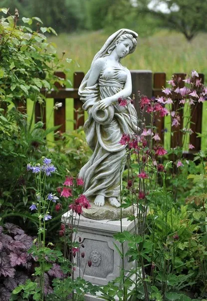 Gardening, як садити і виростити аквилегию з насіння