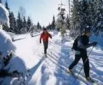 Гірські лижі для початківців техніка катання, ціни на продаж і прокат лиж, відео (гірські лижі уроки відео) Гірські лижі для початківців техніка катання, ціни на продаж і прокат лиж, відео