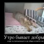 Гороскоп матірний