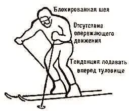 Гірські і в катанні і навчанні