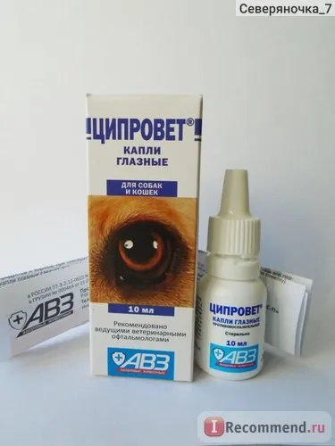Очні краплі ціпровет - «чим лікувати кон'юнктивіт у кошенят я рекомендую ціпровет! Ціпровет швидко (краплі) Очні краплі ціпровет - «чим лікувати кон'юнктивіт у кошенят я рекомендую ціпровет! Ціпровет швидко