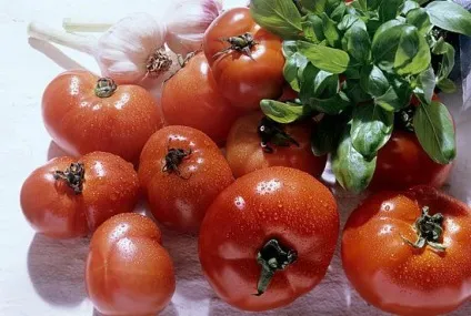 ГМО розшифровка і небезпека (розшифровка) ГМО розшифровка і небезпека