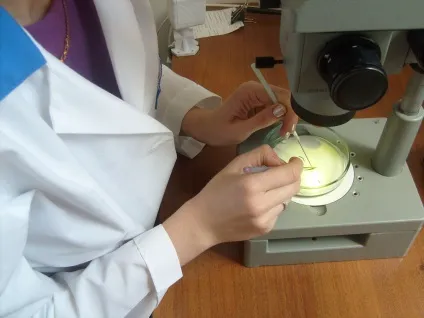 Головна - Конотопська міжобласна ветеринарна лабораторія (Калінінградська) Головна - Конотопська міжобласна ветеринарна лабораторія