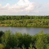 Сумна історія про кошеня Самсона, своїми руками будинок і сад