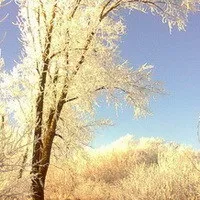Сумна історія про кошеня Самсона, своїми руками будинок і сад