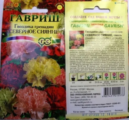 Гвоздика Гренадіни - вирощування з насіння своїми руками (гвоздика) Гвоздика Гренадіни - вирощування з насіння своїми руками