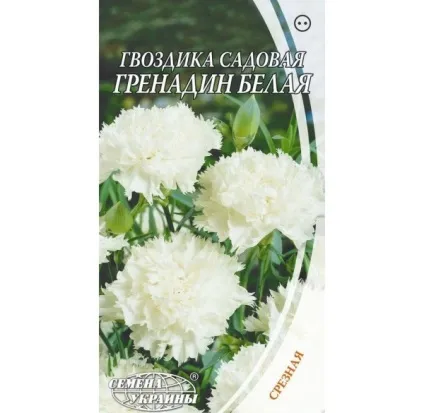 Гвоздика Гренадіни - вирощування з насіння своїми руками (насіння) Гвоздика Гренадіни - вирощування з насіння своїми руками