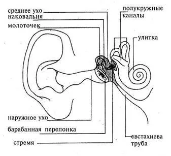 Інфекція середнього вуха