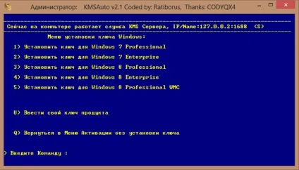 Інструкція kmsauto