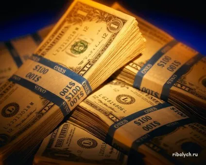 Цікаві факти міфи і правда про поліцію сша (поліції) Цікаві факти міфи і правда про поліцію сша