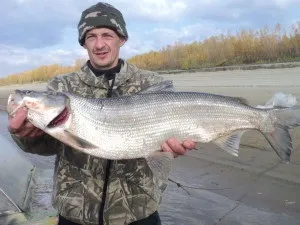 Яка риба ловиться в Маріуполі області і список кращих водойм для риболовлі