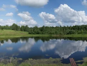 Яка риба ловиться в Маріуполі області і список кращих водойм для риболовлі
