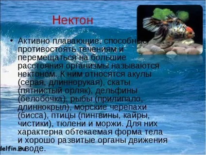Зміна температури води в океані з глибиною водні маси світового океану (океані) Зміна температури води в океані з глибиною водні маси світового океану