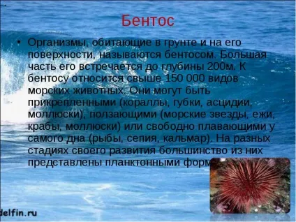 Зміна температури води в океані з глибиною водні маси світового океану (водні) Зміна температури води в океані з глибиною водні маси світового океану