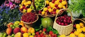 Як часник впливає на організм, хімічний склад і властивості часнику, ніж корисний часник (хімічний) Як часник впливає на організм, хімічний склад і властивості часнику, ніж корисний часник