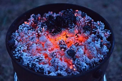 Як боротися з комарами і їх укусами без хімії - topus - все найцікавіше в інтернеті (відкриті ділянки тіла) Як боротися з комарами і їх укусами без хімії - topus - все найцікавіше в інтернеті