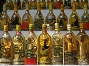 Горілка зі змією (китайський і в'єтнамський варіант) (варіант) Горілка зі змією (китайський і в'єтнамський варіант)