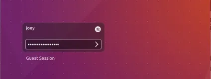 Вийшов cinnamon 3
