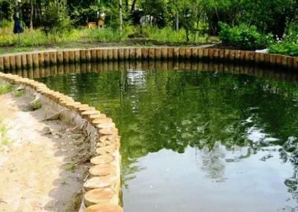 Водоймище на дачній ділянці, укріплення берегів водойми, робимо своїми руками (водойму) Водоймище на дачній ділянці, укріплення берегів водойми, робимо своїми руками