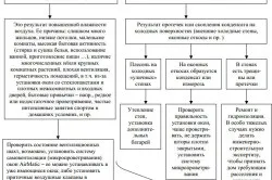 Як позбутися від цвілі на шпалерах способи, нюанси (нюанси) Як позбутися від цвілі на шпалерах способи, нюанси