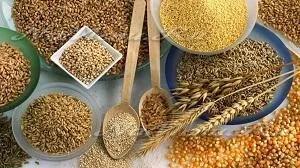 Які продукти або товари купують про запас (продукти) Які продукти або товари купують про запас