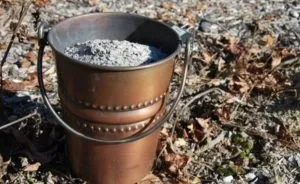 Як позбутися від курячих бліх препарати і народні засоби (курячих) Як позбутися від курячих бліх препарати і народні засоби