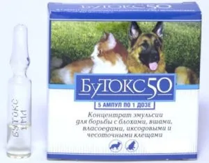 Як позбутися від курячих бліх препарати і народні засоби (позбутися) Як позбутися від курячих бліх препарати і народні засоби