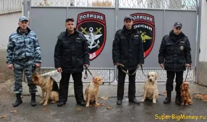 Яким буде підвищення зарплати співробітникам мвс в 2018 році, свіжі новини (зарплати) Яким буде підвищення зарплати співробітникам мвс в 2018 році, свіжі новини