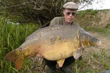 Як і де зловити великого коропа (великий короп) Як і де зловити великого коропа