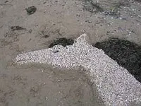Як ми їздили в казантип (відпочинок крим дитина коктебель євпаторія севастополь феодосія ялта судак море гори відпустку курорт пляж готель канікули поїздка приватний сектор готель аквапарк відпочинок в криму як ми їздили в казантип) Як ми їздили в казантип