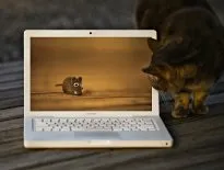 Як можна сфотографувати екран macbook або його окрему частину (сфотографувати) Як можна сфотографувати екран macbook або його окрему частину