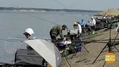 Як конвоюють ув'язнених (доброго ранку) Як конвоюють ув'язнених