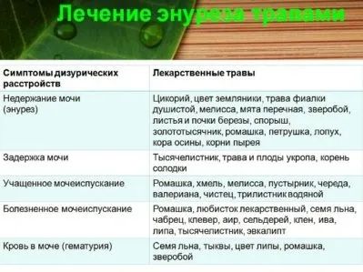 Як лікувати енурез у домашніх умовах (умовах) Як лікувати енурез у домашніх умовах