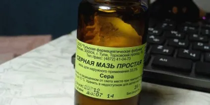 Як лікувати лишай у кішок в домашніх умовах - жіночий світ (кішок) Як лікувати лишай у кішок в домашніх умовах - жіночий світ