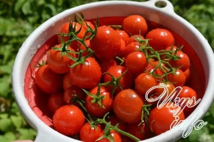 Як маринувати помідори черрі на зиму - 2 рецепта з фото (маринувати) Як маринувати помідори черрі на зиму - 2 рецепта з фото