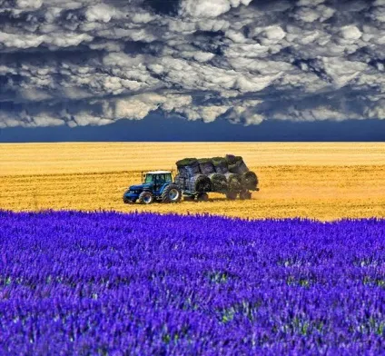 Як змінити своє життя на краще (змінити) Як змінити своє життя на краще