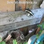 Як спостерігати за птахами і результати спостереження (птахами) Як спостерігати за птахами і результати спостереження