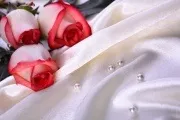 Як наносити фарбу на тканину (потім) Як наносити фарбу на тканину