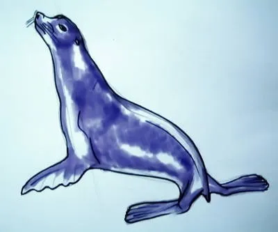 Як намалювати морського лева і морського котика (рисунок морський лев) Як намалювати морського лева і морського котика